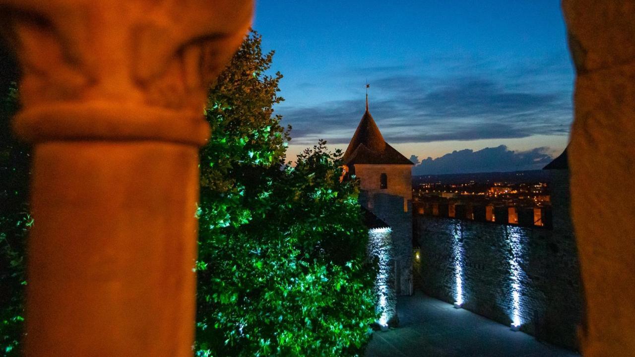 Tout Confort ! Calme, Climatisation, Piscine, Parking Gratuit, Grande Terrasse, Netflix, Wifi Каркассон Экстерьер фото